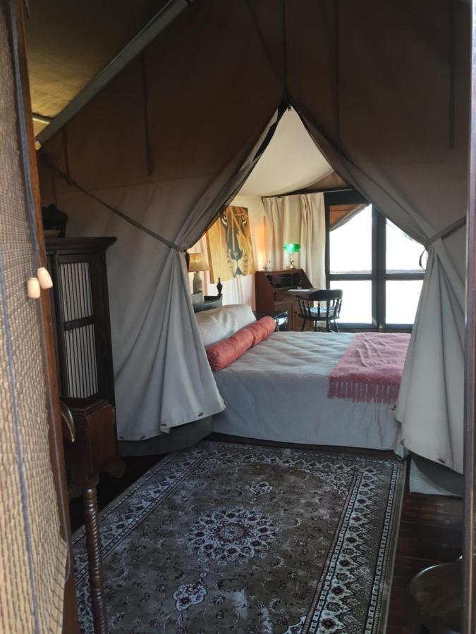 Out In Africa Wildlife Lodge Hammanskraal Eksteriør bilde