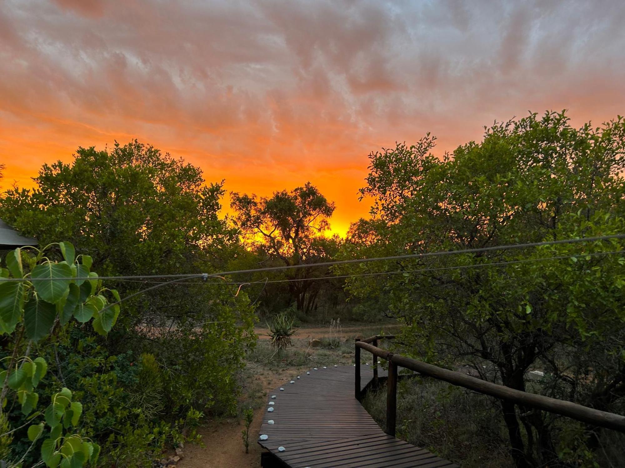 Out In Africa Wildlife Lodge Hammanskraal Eksteriør bilde