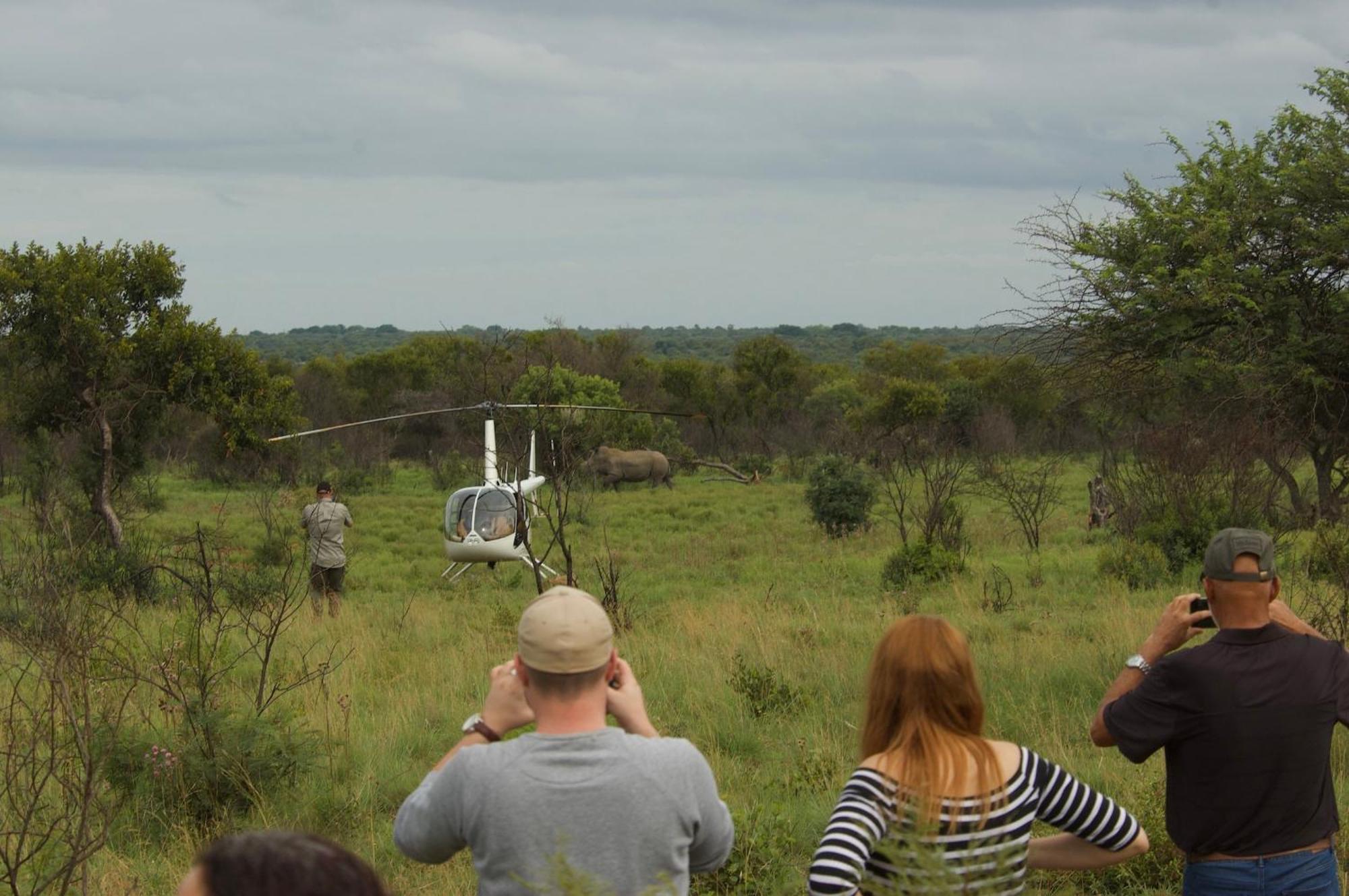 Out In Africa Wildlife Lodge Hammanskraal Eksteriør bilde